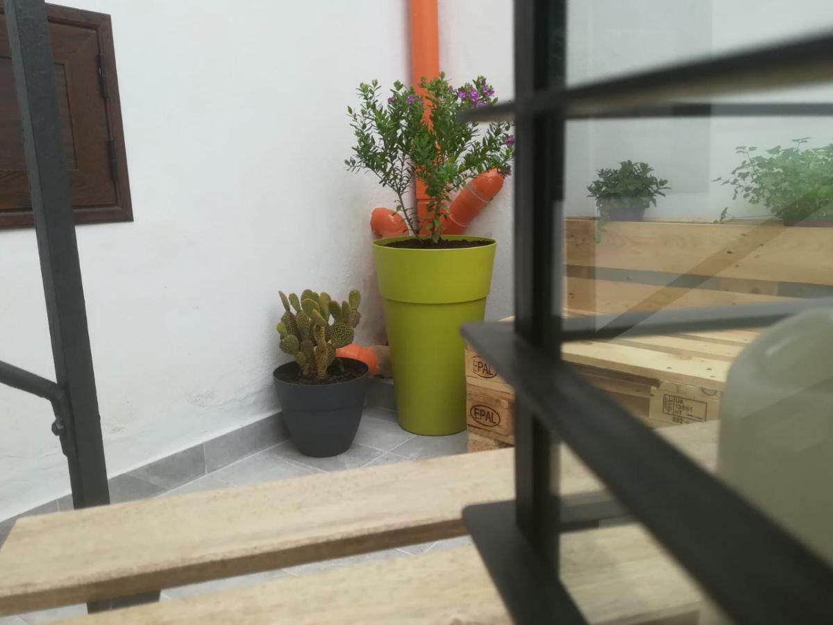 Sofia Pretty Appartament Holiday home Palermo